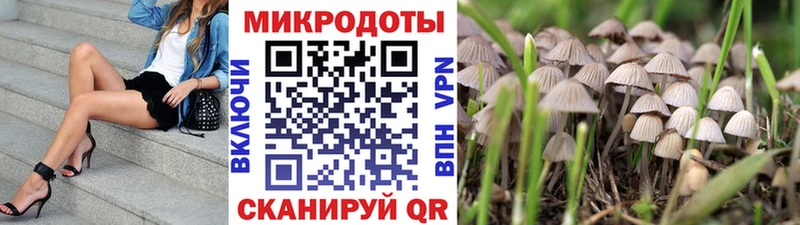 купить наркотики сайты Нея Галлюциногенные грибы Psilocybine cubensis