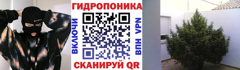 Канабис план  блэк спрут как войти  Нея  как найти закладки 